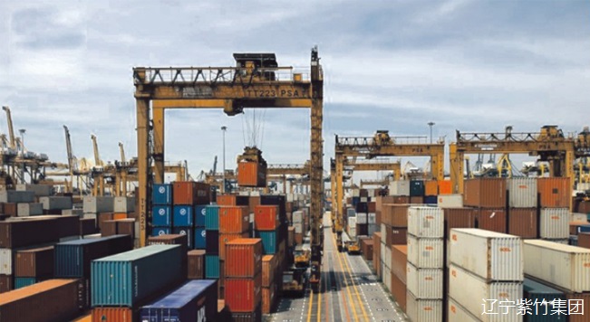 起重軌應(yīng)用于新加坡港口